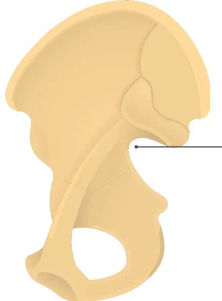 definition image