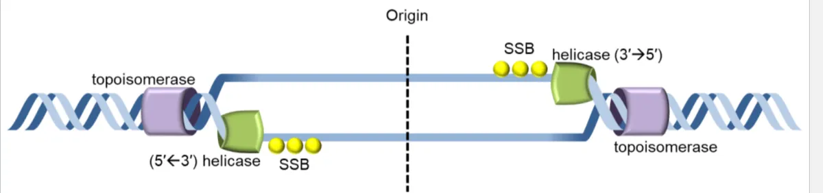 definition image