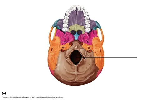 definition image