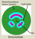definition image