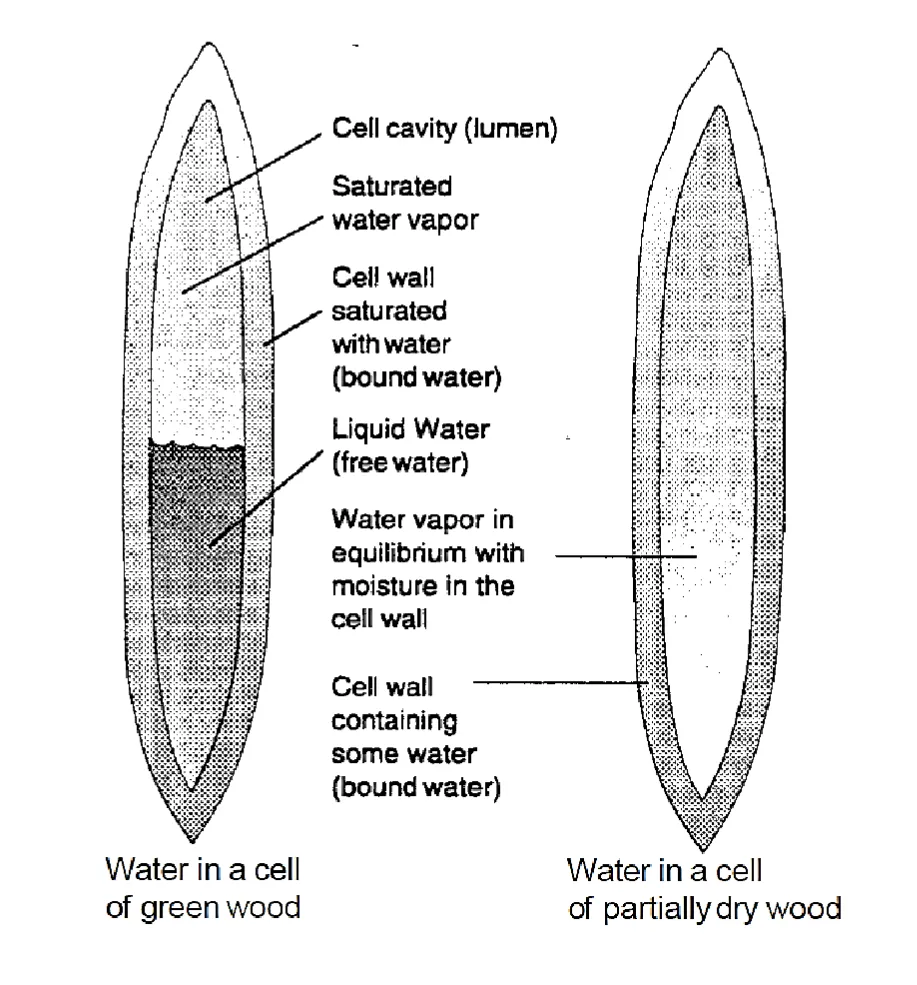 definition image