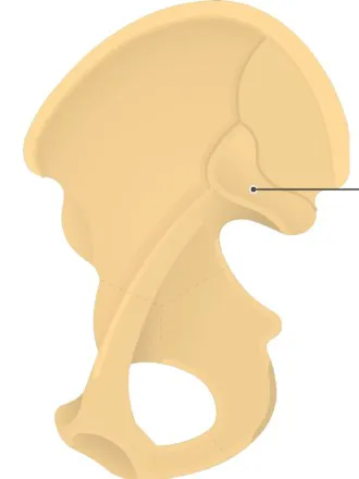 definition image