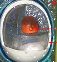 definition image
