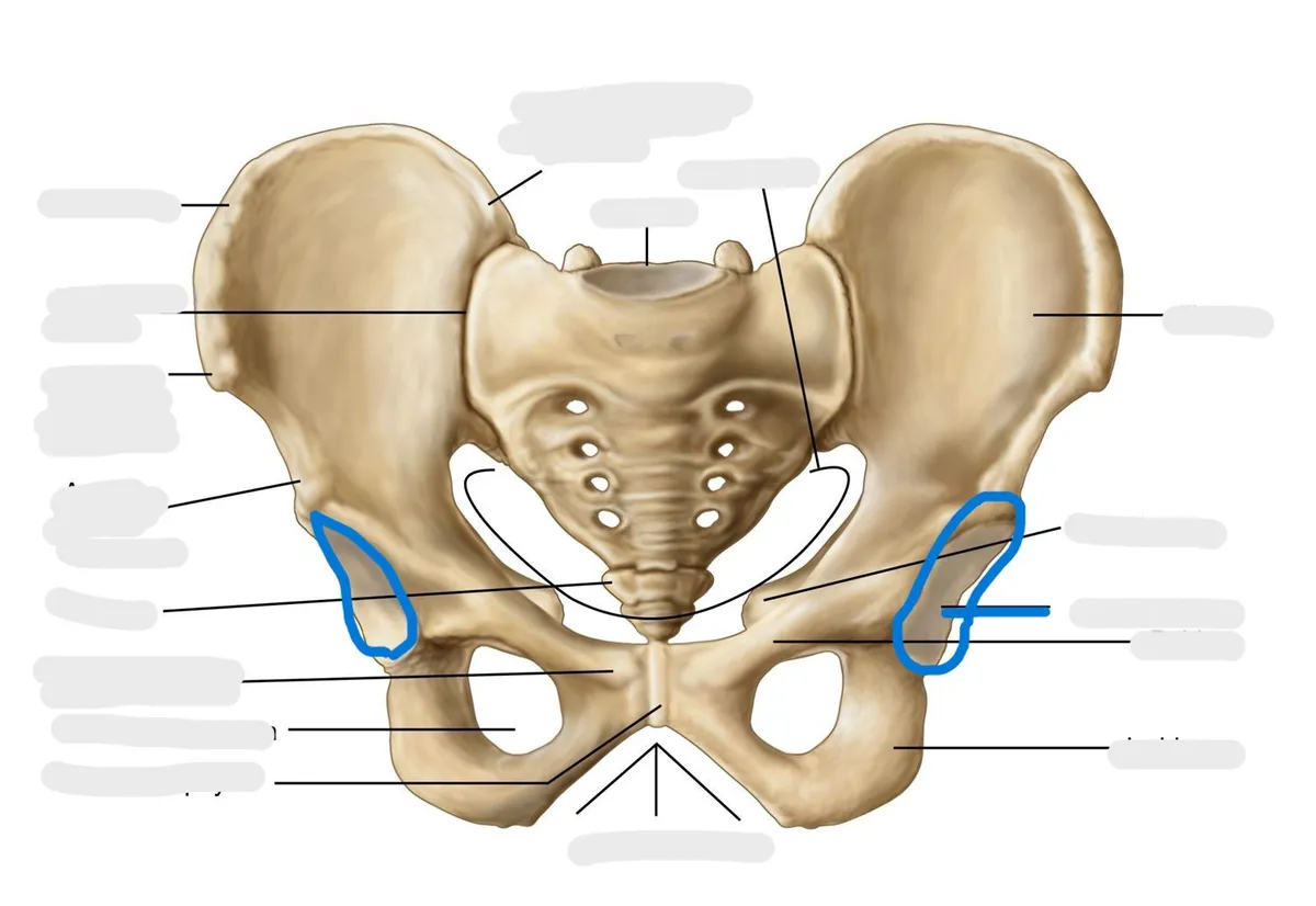 definition image