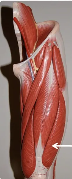 definition image