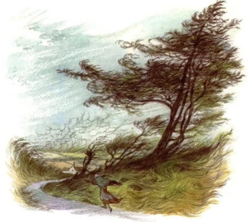 term image