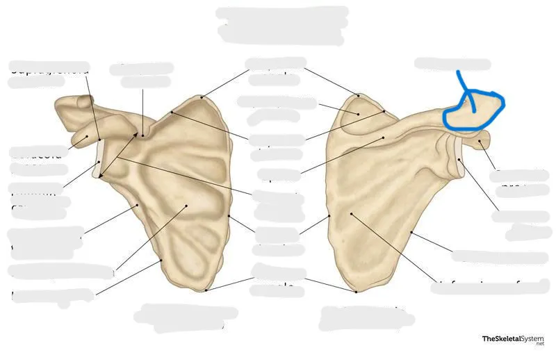 definition image