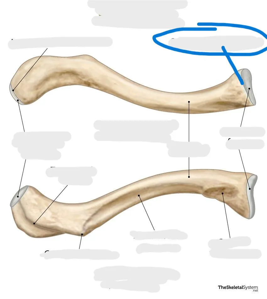 definition image