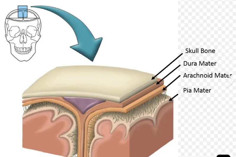 definition image