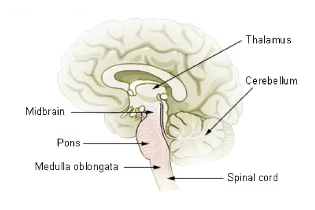 definition image