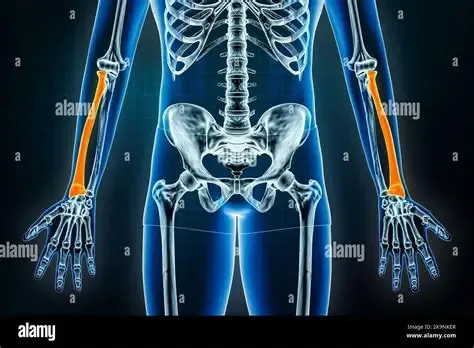 definition image
