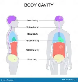 definition image