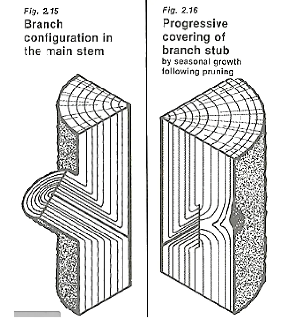 definition image