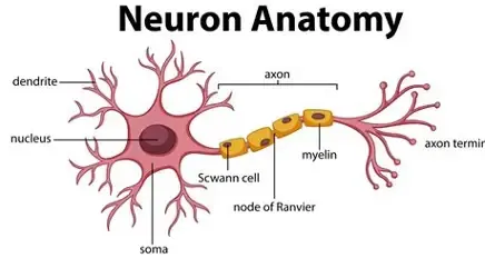 definition image