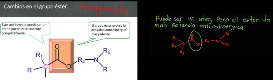 definition image