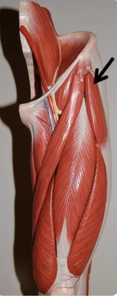 definition image
