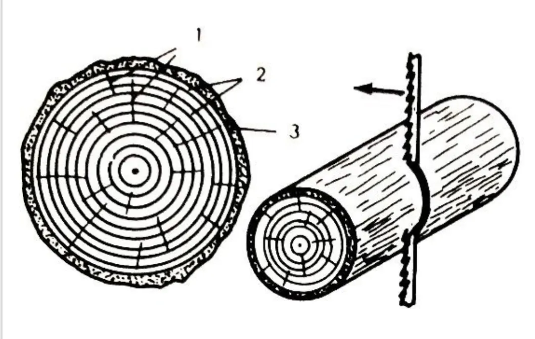 definition image