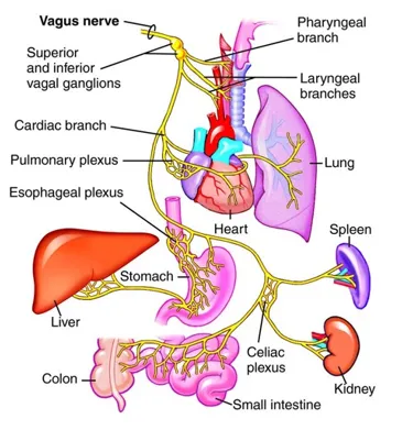 definition image