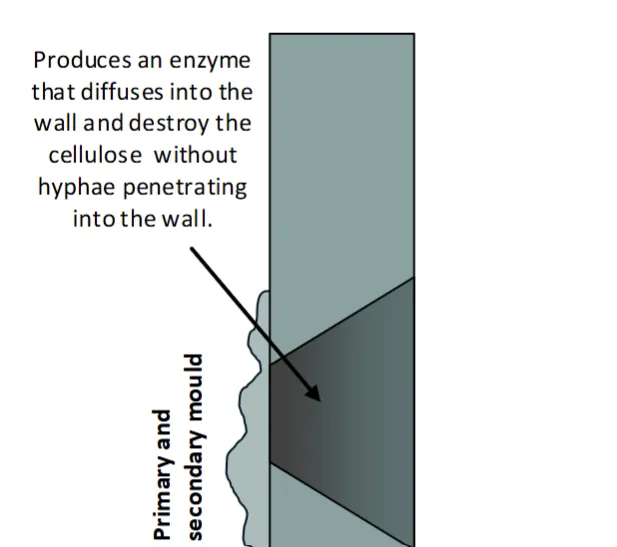 definition image