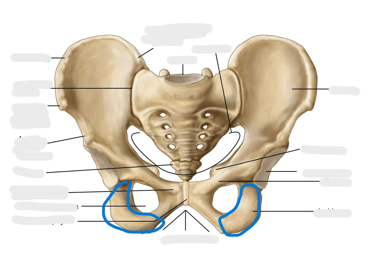 definition image