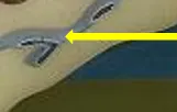 definition image