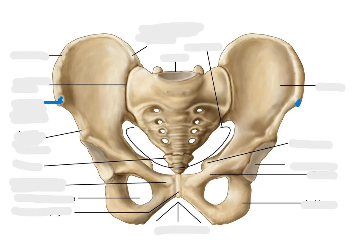 definition image