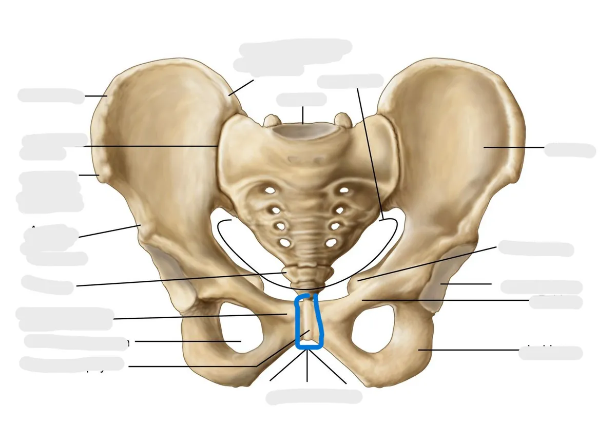 definition image
