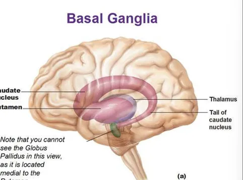 definition image