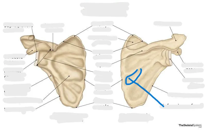 definition image