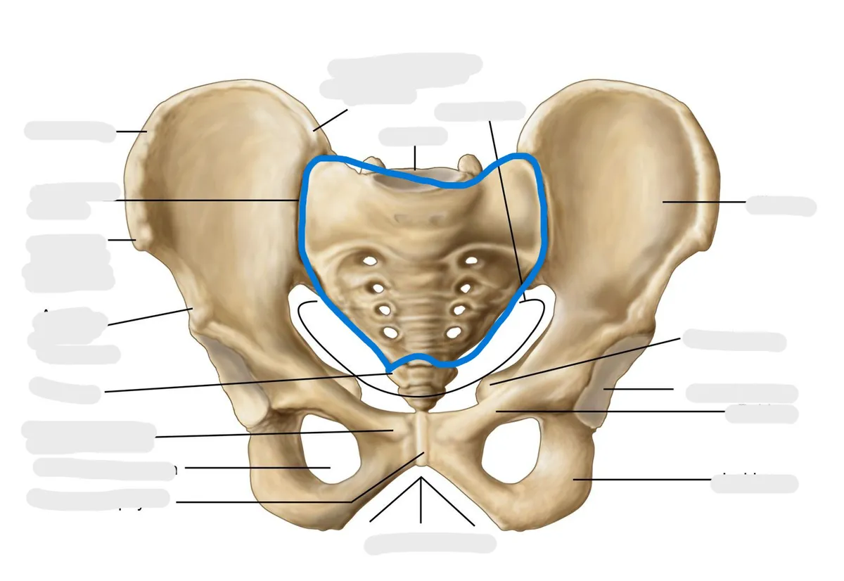 definition image