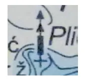 term image