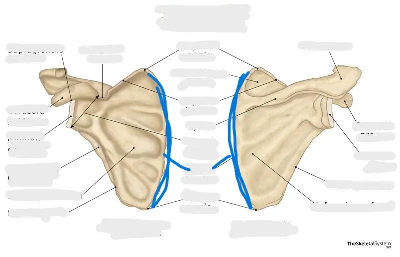 definition image