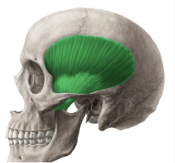 definition image