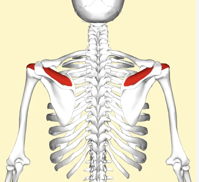 definition image