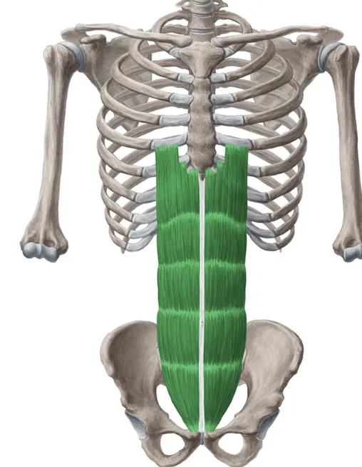 definition image