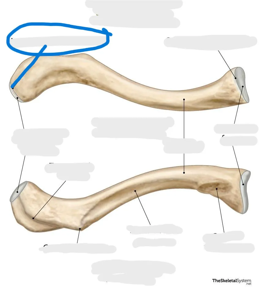 definition image