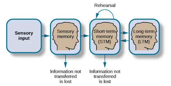 definition image