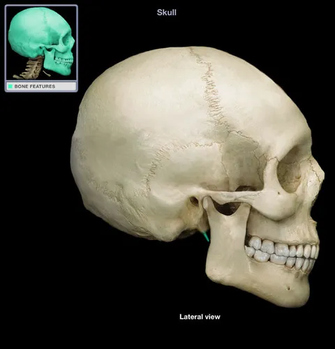 definition image
