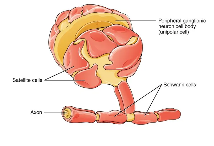 definition image