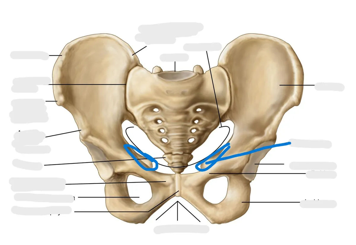 definition image